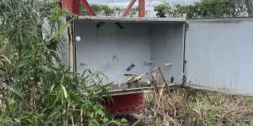 Robos y destrozos en la planta transmisora de Radio Nacional Formosa