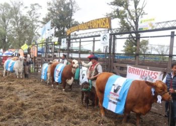 La 79° Expo Rural Formosa 2024 se realizará el 7 y 8 de septiembre