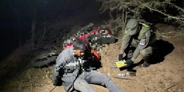 Gendarmería detectó el transporte de más de un kilo de cocaína en un control vehicular