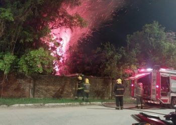 Un incendio intencional destruyó 20 toneladas de rollizos en la fábrica de Unitán