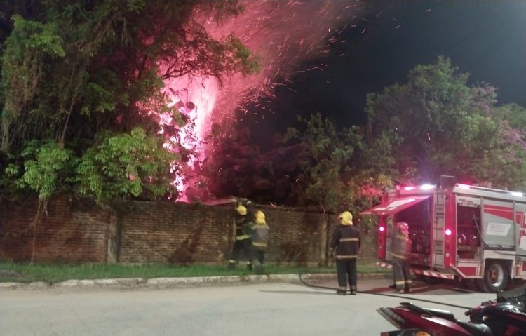 Un incendio intencional destruyó 20 toneladas de rollizos en la fábrica de Unitán