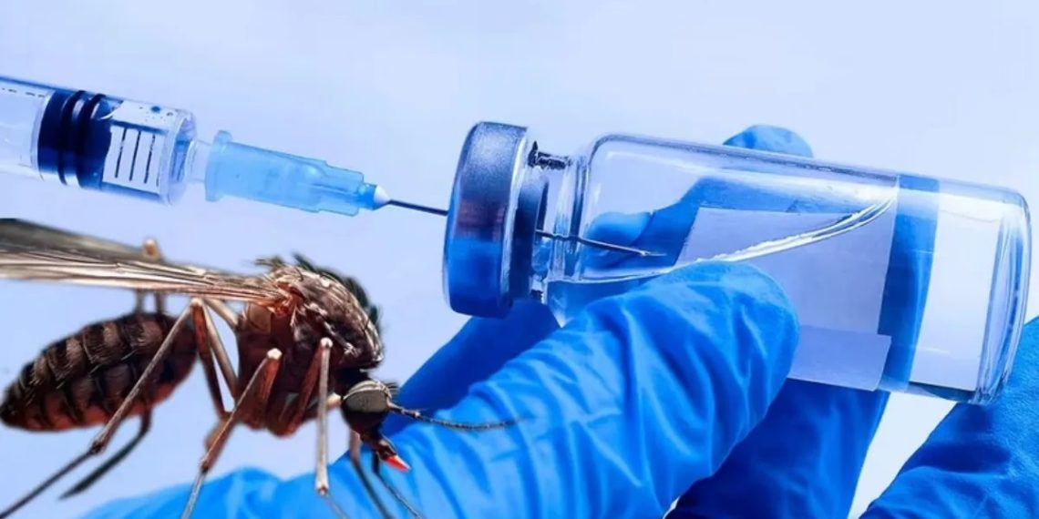 Enviarán a Formosa el primer lote de vacunas contra el dengue