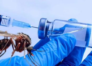 Enviarán a Formosa el primer lote de vacunas contra el dengue