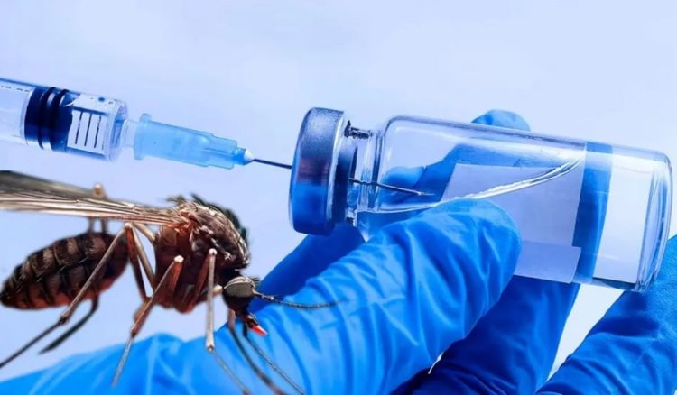 Enviarán a Formosa el primer lote de vacunas contra el dengue