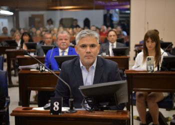 Montoya: “Esta reforma pretende consolidar los privilegios de la verdadera casta del modelo formoseño”