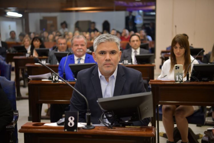 Montoya: “Esta reforma pretende consolidar los privilegios de la verdadera casta del modelo formoseño”