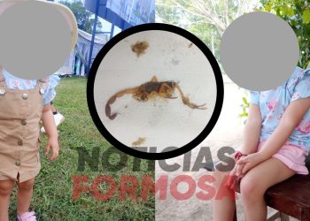 Niña picada por un alacrán venenoso: «Daniela falleció en los brazos de la madre»