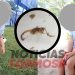 Niña picada por un alacrán venenoso: «Daniela falleció en los brazos de la madre»