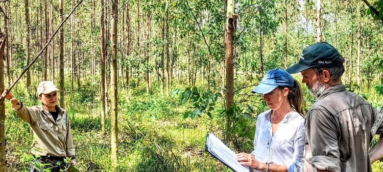 Unitán se convirtió en la primera en vender bonos de carbono al exterior