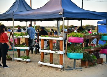 Esta es la agenda cultural, recreativa y deportiva para disfrutar el fin de semana