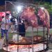 Comenzó la “Expo Asado de Carnes Formoseñas” en el Paseo Costanero