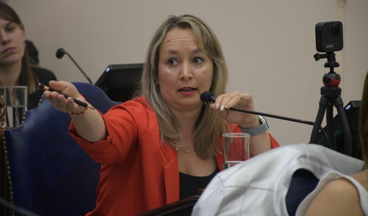 Mara Amarilla acusa al diputado Samaniego de ejercer violencia de género con sus intervenciones «violentas y de maltrato»