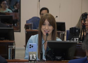 Agostina Villaggi: El PJ aprobó un “impuestazo” a los formoseños “sin permitir el debate”