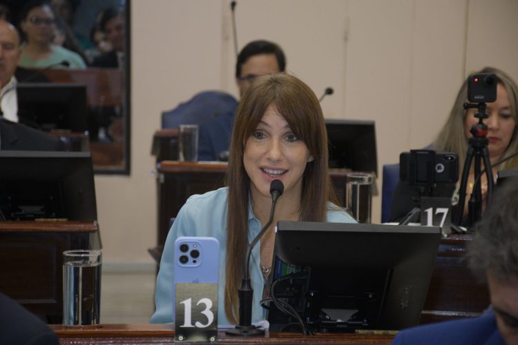 Agostina Villaggi: El PJ aprobó un “impuestazo” a los formoseños “sin permitir el debate”