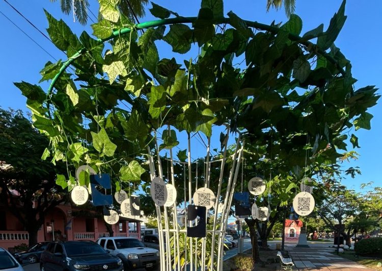 Banco Formosa presenta el saldo remunerado en su nueva billetera Onda