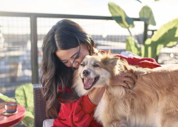 Para muchos argentinos, los perros ocupan un lugar especial en su familia