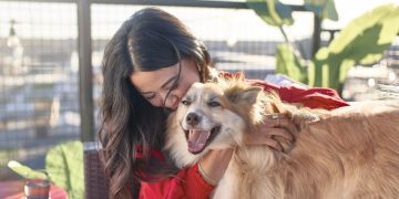 Para muchos argentinos, los perros ocupan un lugar especial en su familia