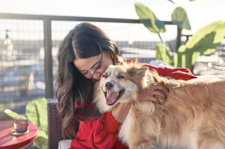 Para muchos argentinos, los perros ocupan un lugar especial en su familia