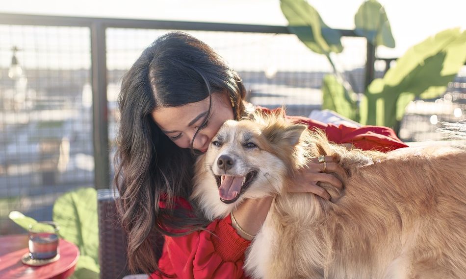 Para muchos argentinos, los perros ocupan un lugar especial en su familia