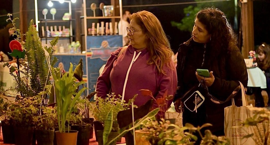 Actividades recreativas para el fin de semana en la ciudad