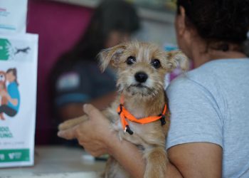 Se llevará a cabo el operativo de castración masiva de mascotas en el barrio 25 de Mayo
