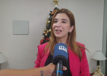 El Parque Acuático habilita este sábado 28 su temporada verano 2024-2025