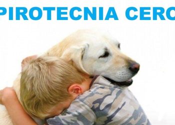 Luces sí, ruidos, no. La Municipalidad ya comenzó a decomisar pirotecnia no autorizada