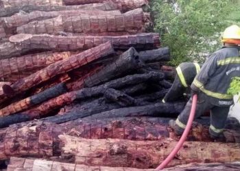 Otro ataque vandálico a Unitán: desconocidos incendiaron varias toneladas de rollizos