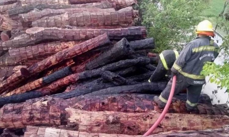 Otro ataque vandálico a Unitán: desconocidos incendiaron varias toneladas de rollizos