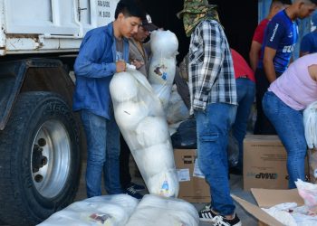 El gobierno distribuye 250 mil juguetes por el día de Reyes