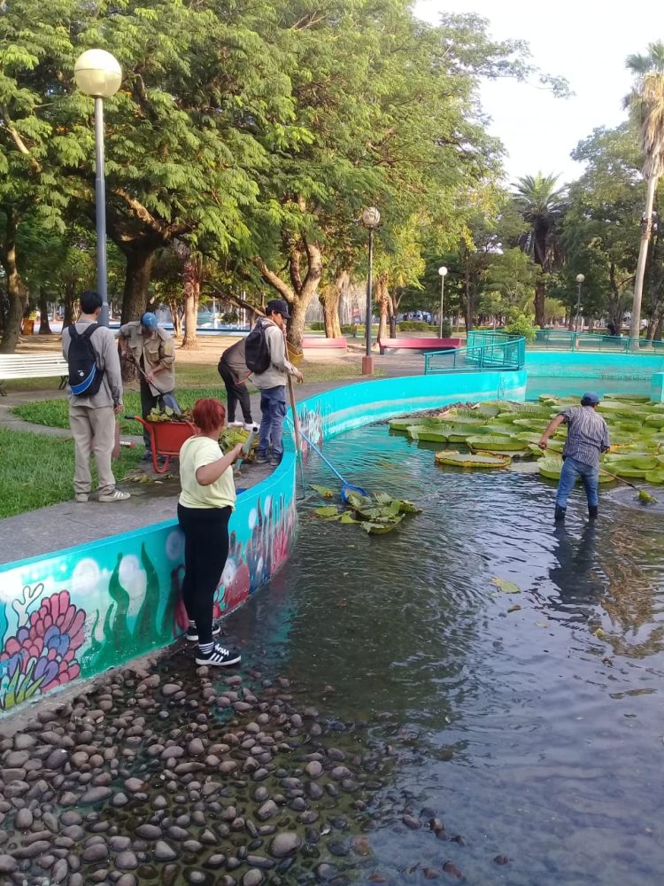 El municipio interviene en varios barrios para el mantenimiento de espacios verdes