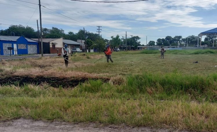 El municipio interviene en varios barrios para el mantenimiento de espacios verdes