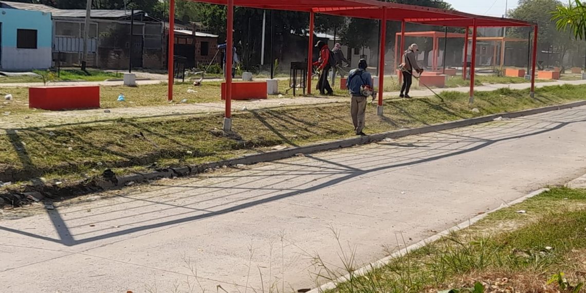 El municipio interviene en varios barrios para el mantenimiento de espacios verdes