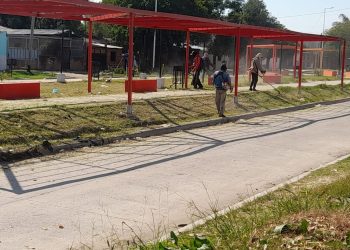 El municipio interviene en varios barrios para el mantenimiento de espacios verdes