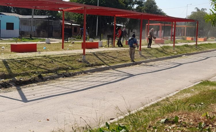 El municipio interviene en varios barrios para el mantenimiento de espacios verdes