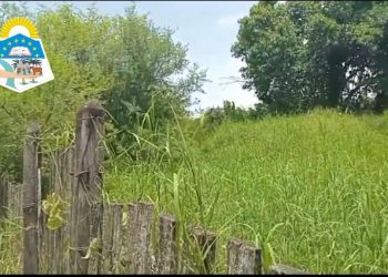 Intendente avisó que le sacará terrenos baldíos a aquellos propietarios que no lo mantengan limpio y le entregará a otros