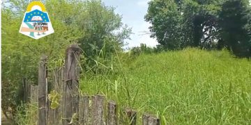 Intendente avisó que le sacará terrenos baldíos a aquellos propietarios que no lo mantengan limpio y le entregará a otros