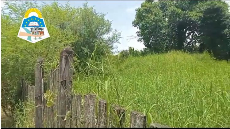 Intendente avisó que le sacará terrenos baldíos a aquellos propietarios que no lo mantengan limpio y le entregará a otros