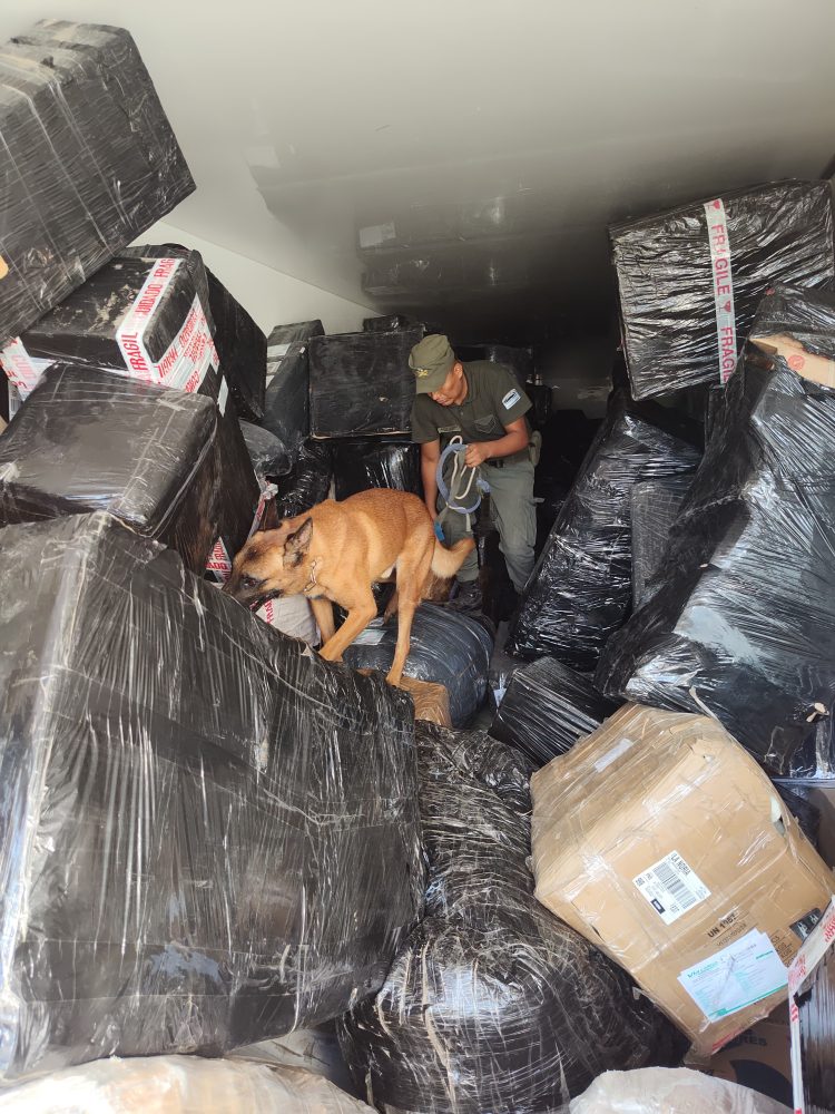 Gendarmería detectó y secuestró un cargamento ilícito valuado en más de $33 millones
