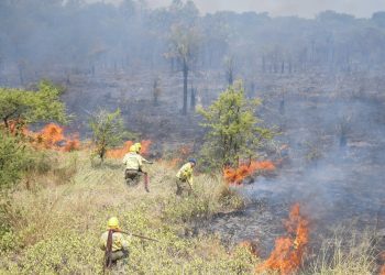 Incendio intencional de pastizales consumió 70 hectáreas en la zona de Dioxitek, en un predio de Vialidad Nacional