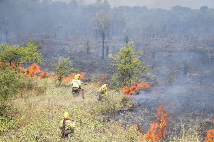 Incendio intencional de pastizales consumió 70 hectáreas en la zona de Dioxitek, en un predio de Vialidad Nacional