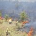 Incendio intencional de pastizales consumió 70 hectáreas en la zona de Dioxitek, en un predio de Vialidad Nacional