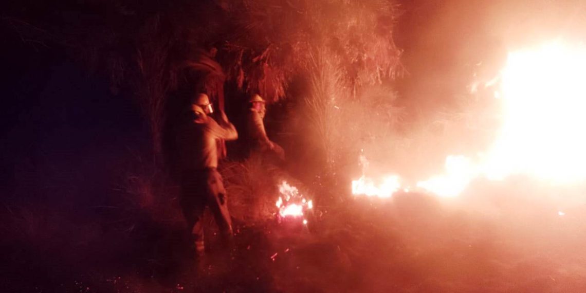 Unas 180 hectáreas de campo se incendiaron y el fuego casi arremete a 400 cabezas de ganado