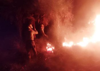 Unas 180 hectáreas de campo se incendiaron y el fuego casi arremete a 400 cabezas de ganado