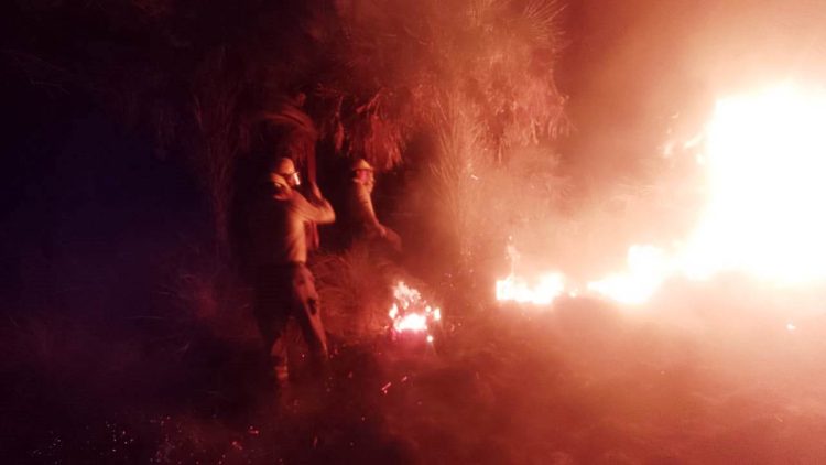 Unas 180 hectáreas de campo se incendiaron y el fuego casi arremete a 400 cabezas de ganado