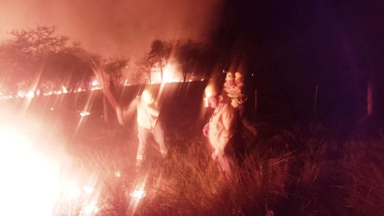 Unas 180 hectáreas de campo se incendiaron y el fuego casi arremete a 400 cabezas de ganado