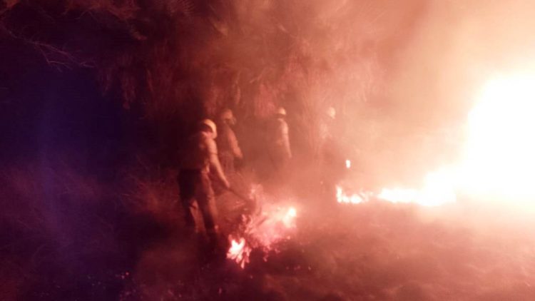 Unas 180 hectáreas de campo se incendiaron y el fuego casi arremete a 400 cabezas de ganado