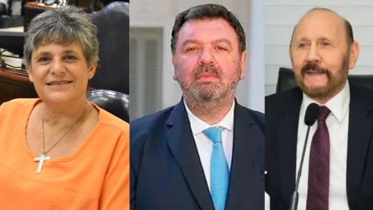 El juez federal Ariel Lijo citó como testigo a Neme en una causa por corrupción y malversación contra Insfrán y sus funcionarios