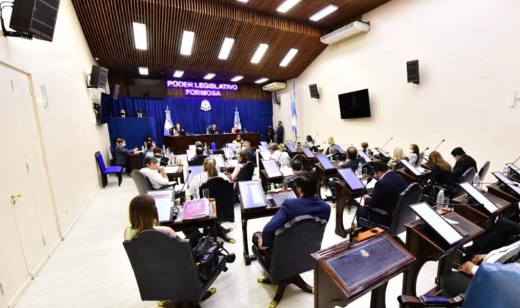 Diputados de la UCR se enojaron con Gabriela Neme por expresiones “temerarias, irrespetuosas e irresponsables”