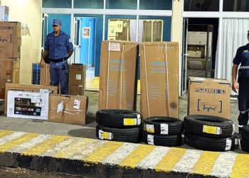 Secuestraron cubiertas y electrodomésticos de contrabando valuados en más de 6 millones de pesos